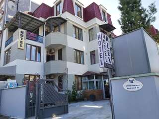 Отель HOTEL ALEX Батуми-0